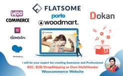 I will make your website with wordpress portfolio or online store